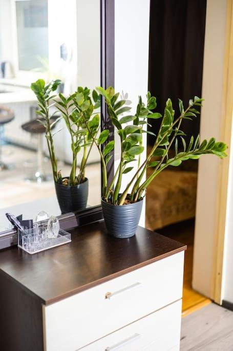 Apartament Hubane Korter Jaervel *